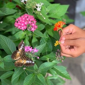 Meet your Posher, Michelle